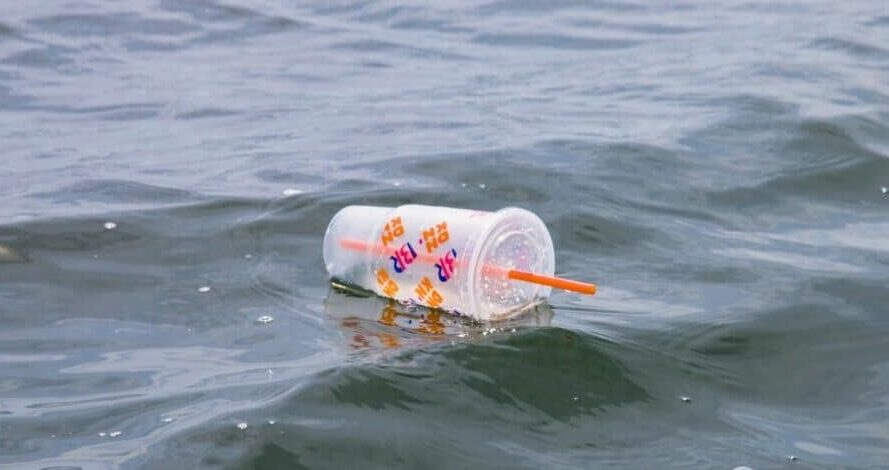 plastic straw pollution 