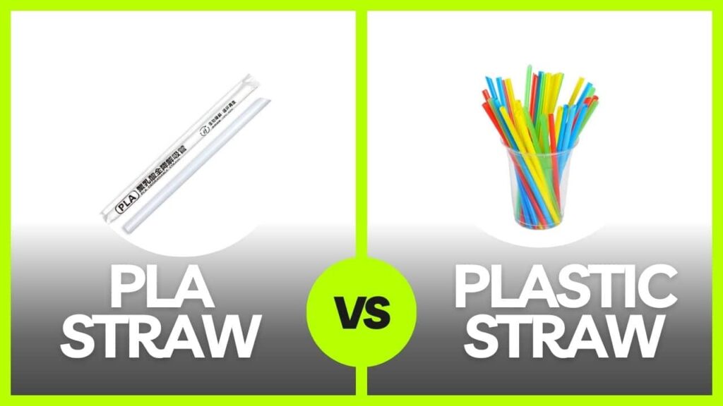 PLA STRAW VS plastic straw